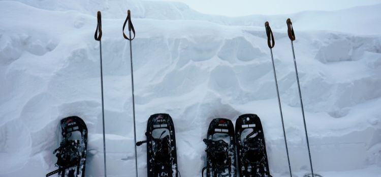 Walking In Snowshoes